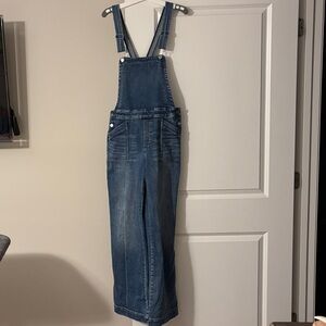 Evereve Blue Denim overalls
